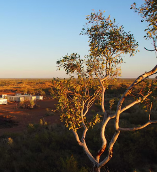 Federal treasurer orders Chinese-linked investors to offload shares in Australian rare earths mine