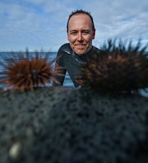 Starting Tomorrow: Unlimited Harvesting! Australia Overrun by Sea Urchins, Government Calls on Foodi