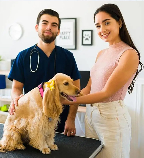 Employer Sponsorship: Pet Groomer Migrates to Australia via 494 Visa - A Golden Pathway for Niche Oc